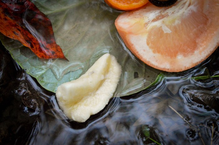 untitled (1 of 1)-42.jpg